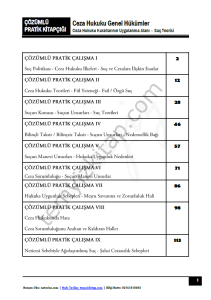 Ceza Hukuku Genel Hükümler 2023 Çözümlü Pratik Çalışma Kitapçığı