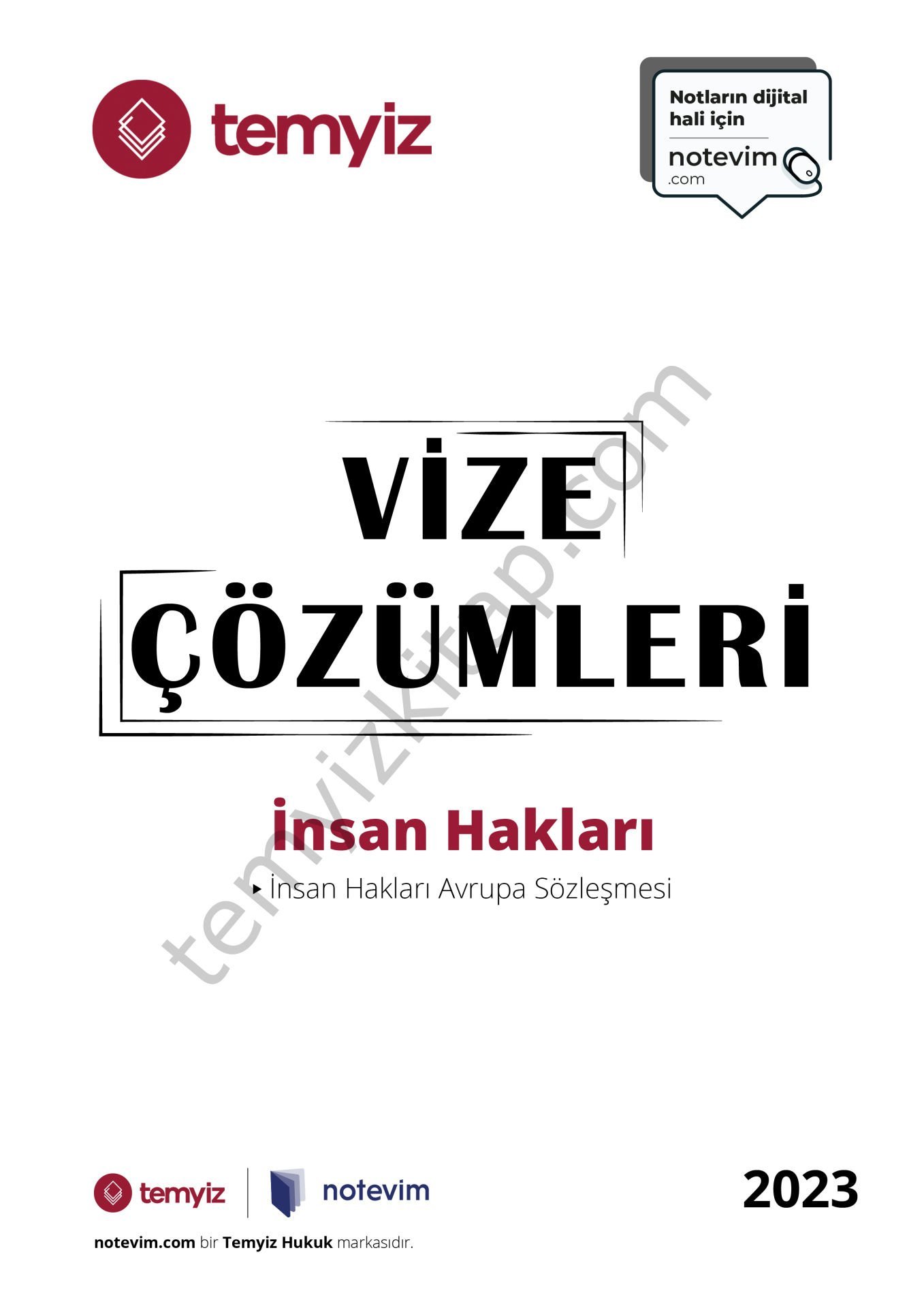 İnsan Hakları 2023 Vize Çözümleri