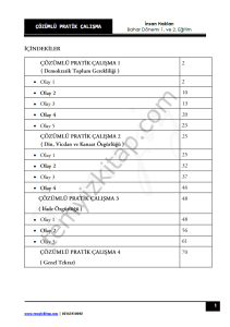 İnsan Hakları 2023 Bahar Dönemi Pratik Kitapçığı