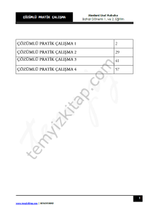 Medeni Usul Hukuku 2023 Bahar Dönemi Pratik Kitapçığı