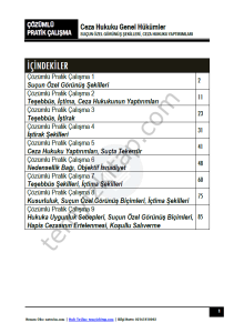 Ceza Hukuku Genel Hükümler 2023-2024 Bahar Dönemi Çözümlü Pratik Kitapçığı